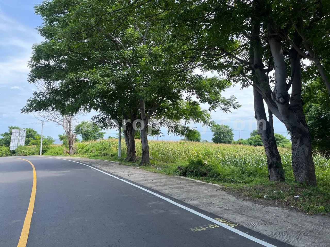 Sea View Land for Sale on Main Road, Gondang, North Lombok – 1.8 Hectares, Freehold (SHM)