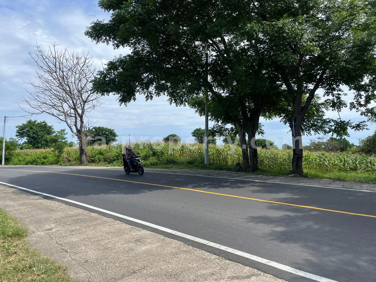 Sea View Land for Sale on Main Road, Gondang, North Lombok – 1.8 Hectares, Freehold (SHM)