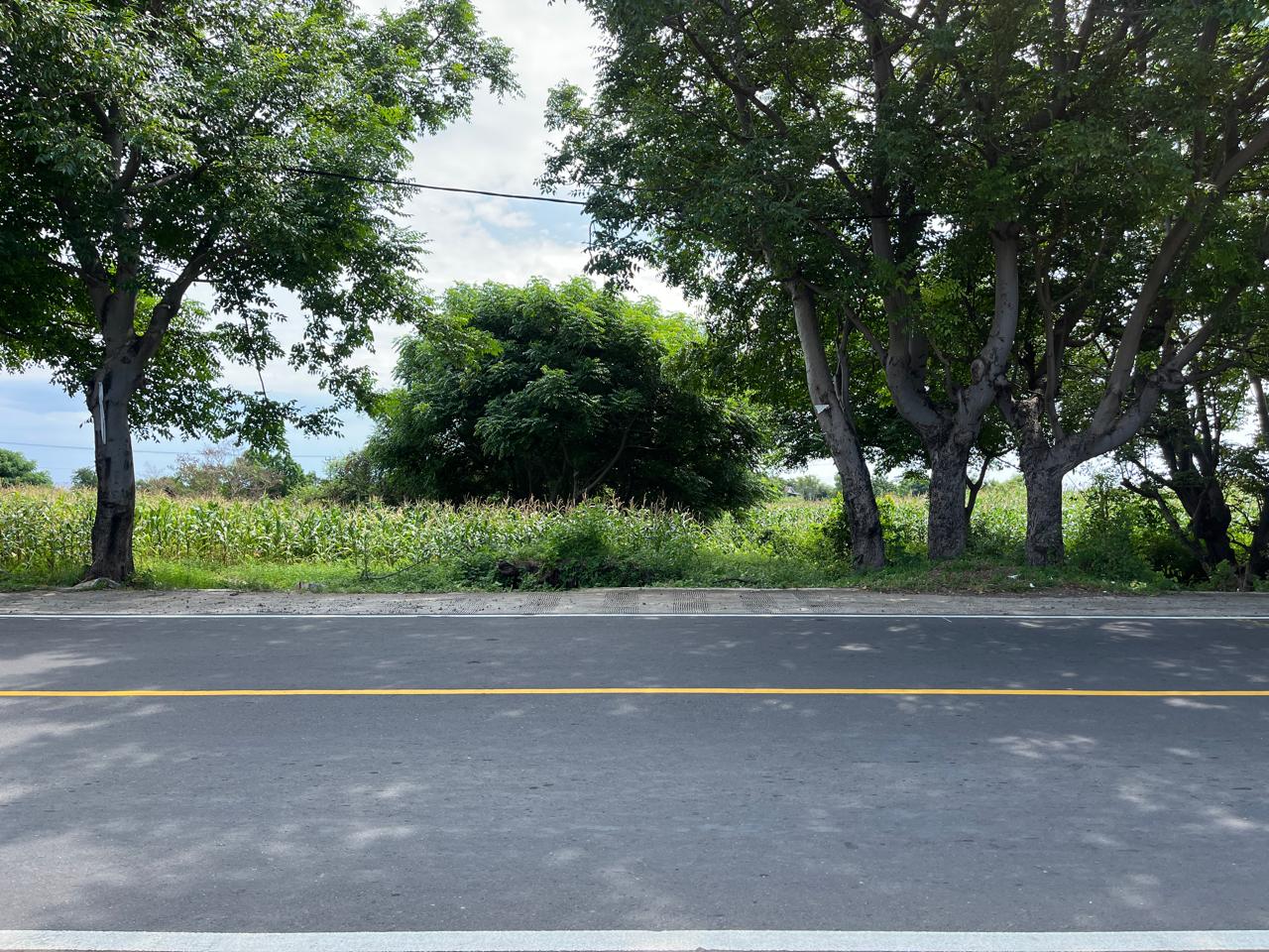 Sea View Land for Sale on Main Road, Gondang, North Lombok – 1.8 Hectares, Freehold (SHM)