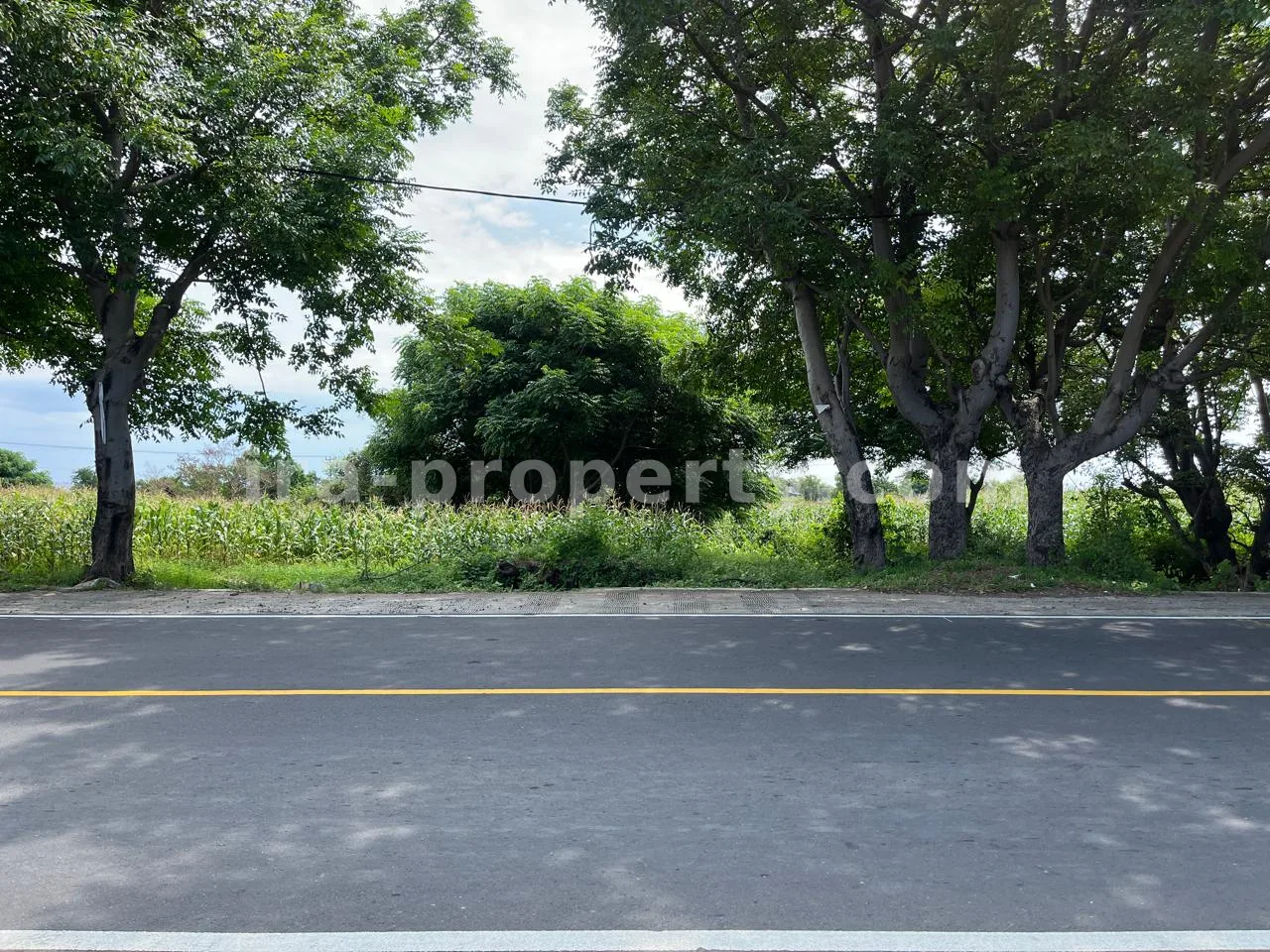 Sea View Land for Sale on Main Road, Gondang, North Lombok – 1.8 Hectares, Freehold (SHM)
