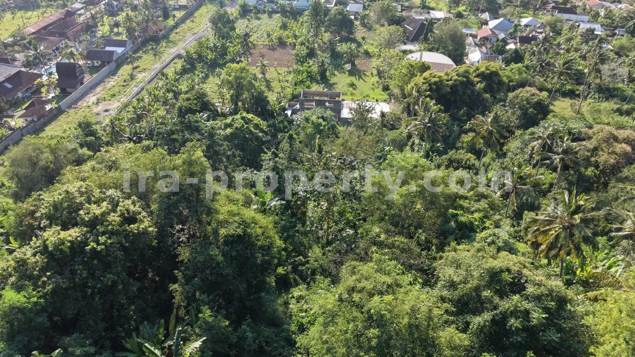 Sea View Land for Sale in Kerandangan, Near Senggigi – Peaceful Hillside Investment Opportunity
