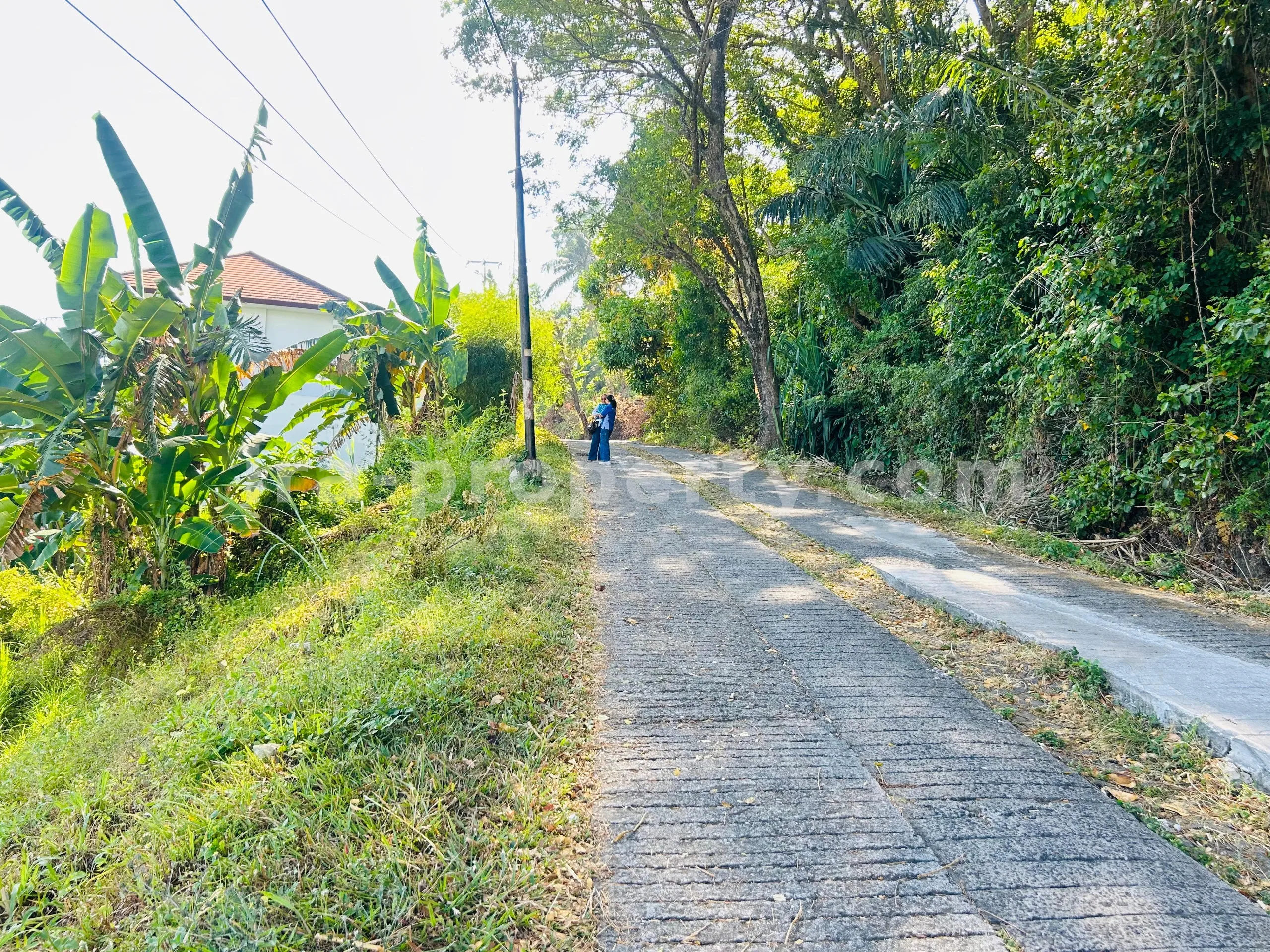 Premium Sea View Land for Sale at The Hill, Batu Layar – Near Senggigi, Lombok