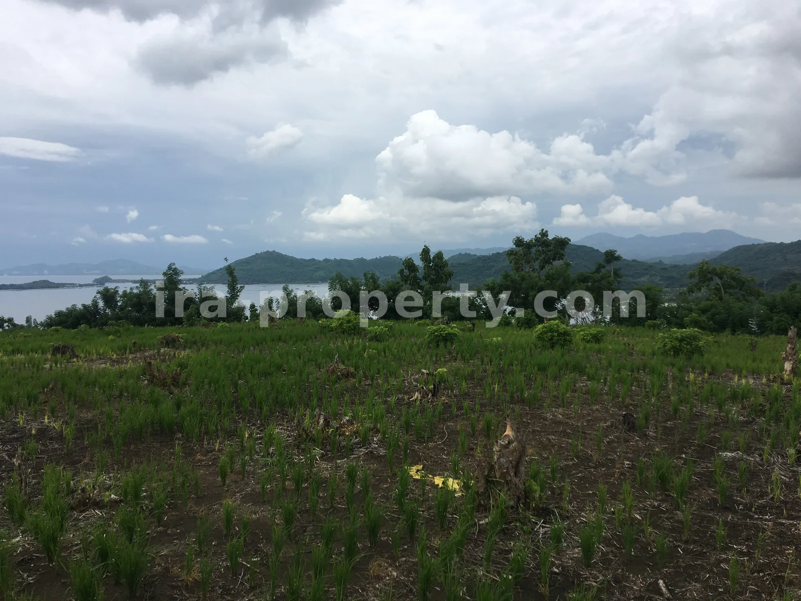 Sea View Land for Sale in Tawun, Sekotong, West Lombok
