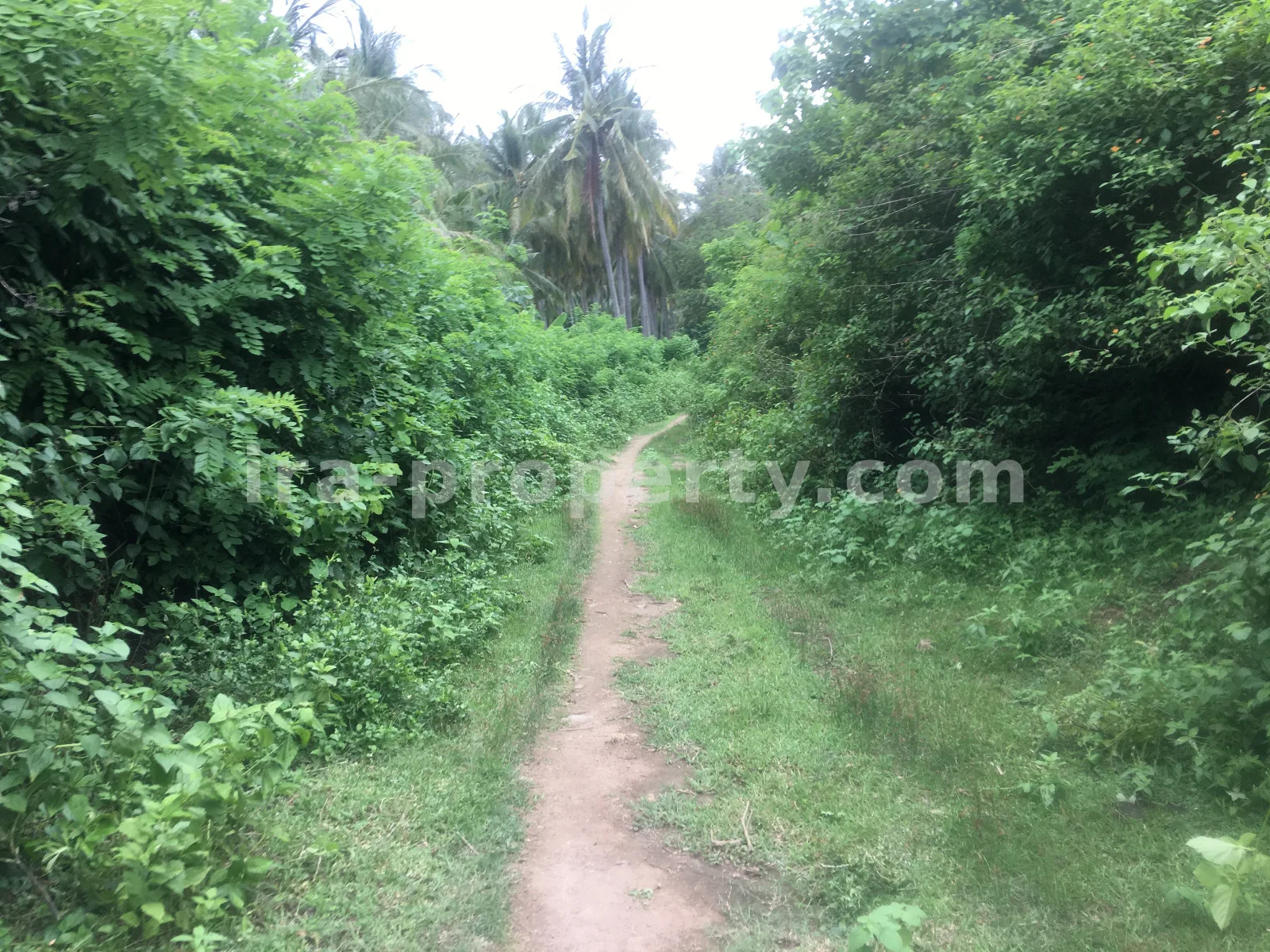 Sea View Land for Sale in Tawun, Sekotong, West Lombok