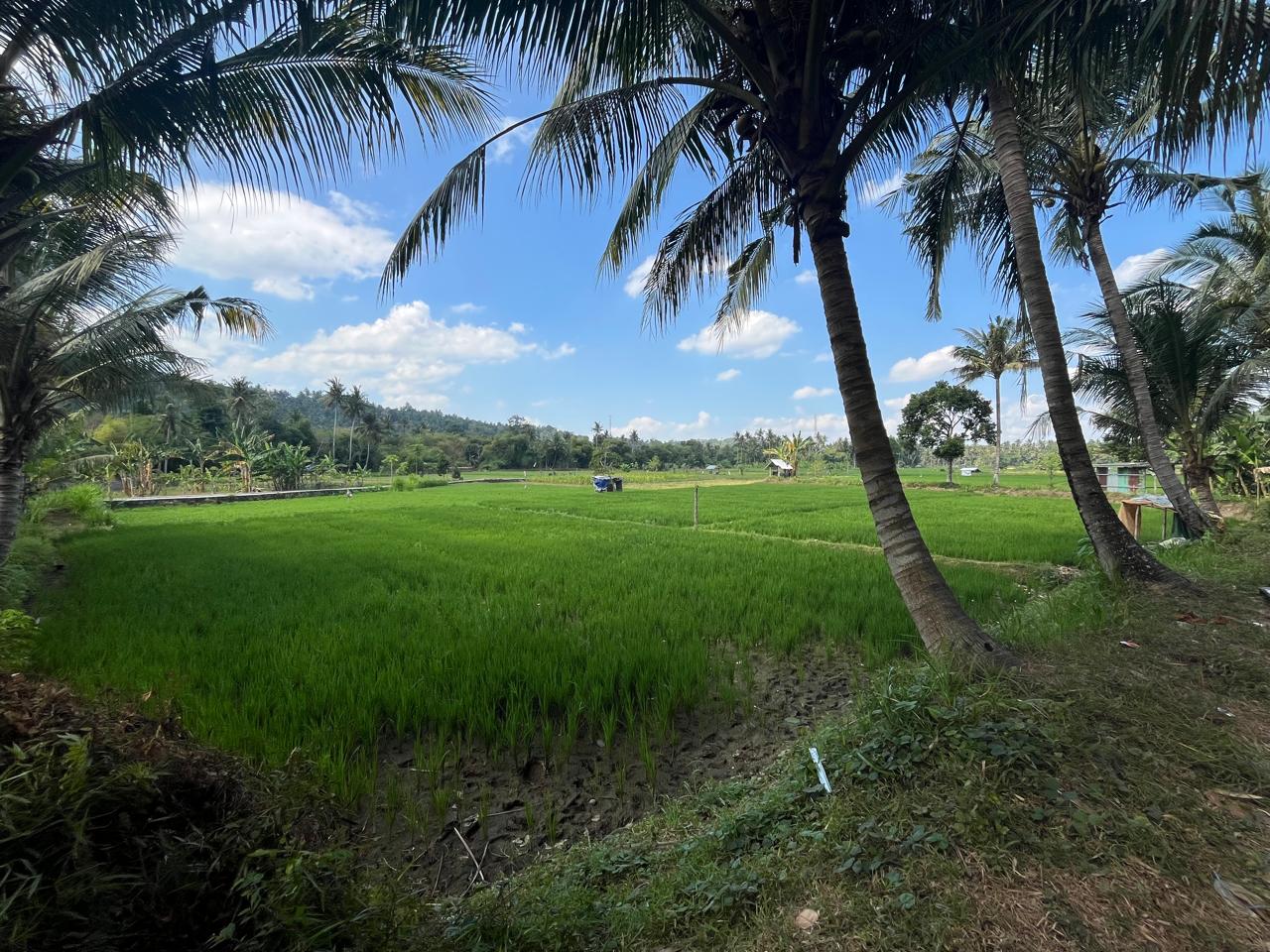 Land Plot for Sale in Kekait, Gunung Sari, West Lombok