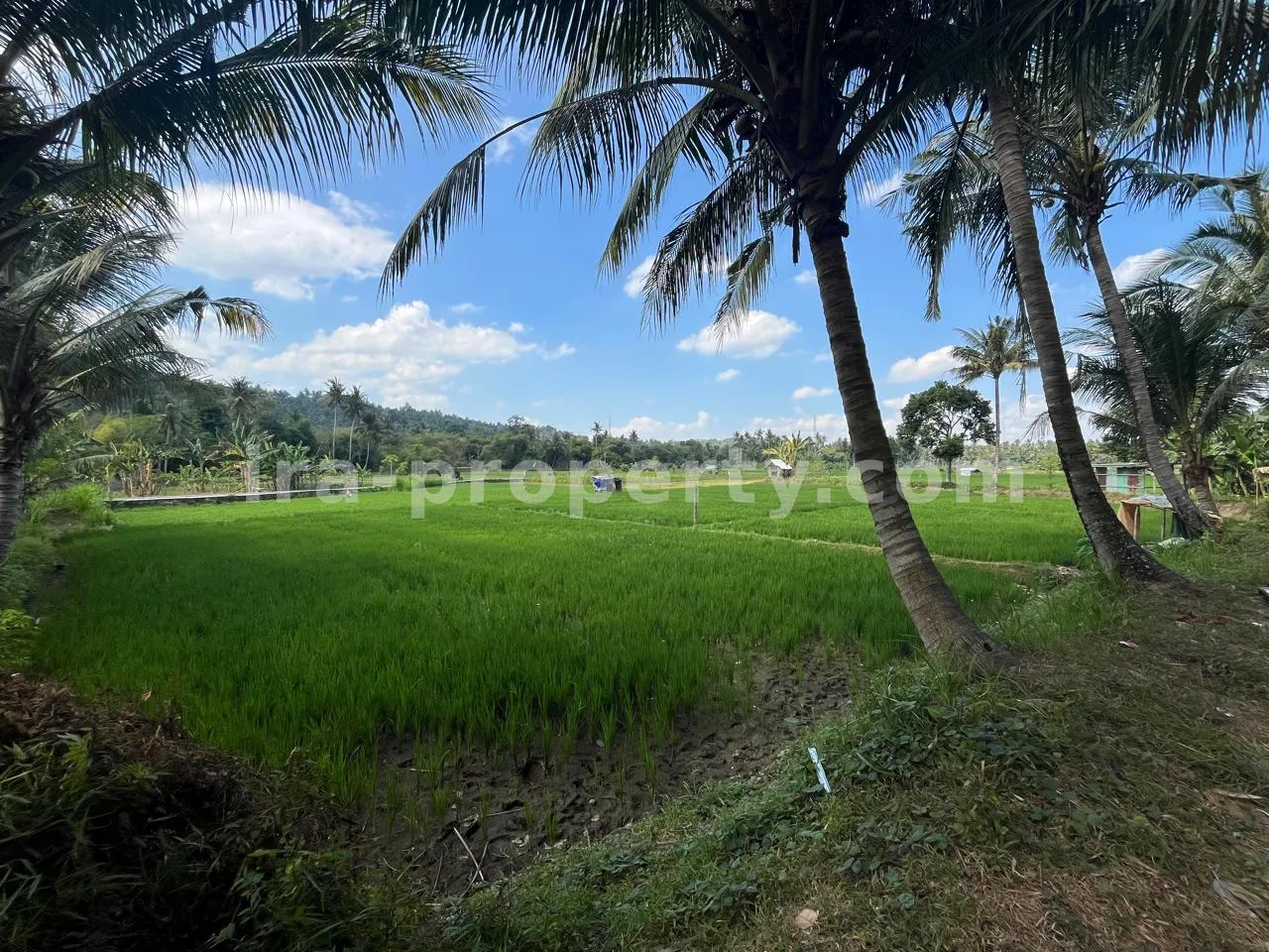 Land Plot for Sale in Kekait, Gunung Sari, West Lombok