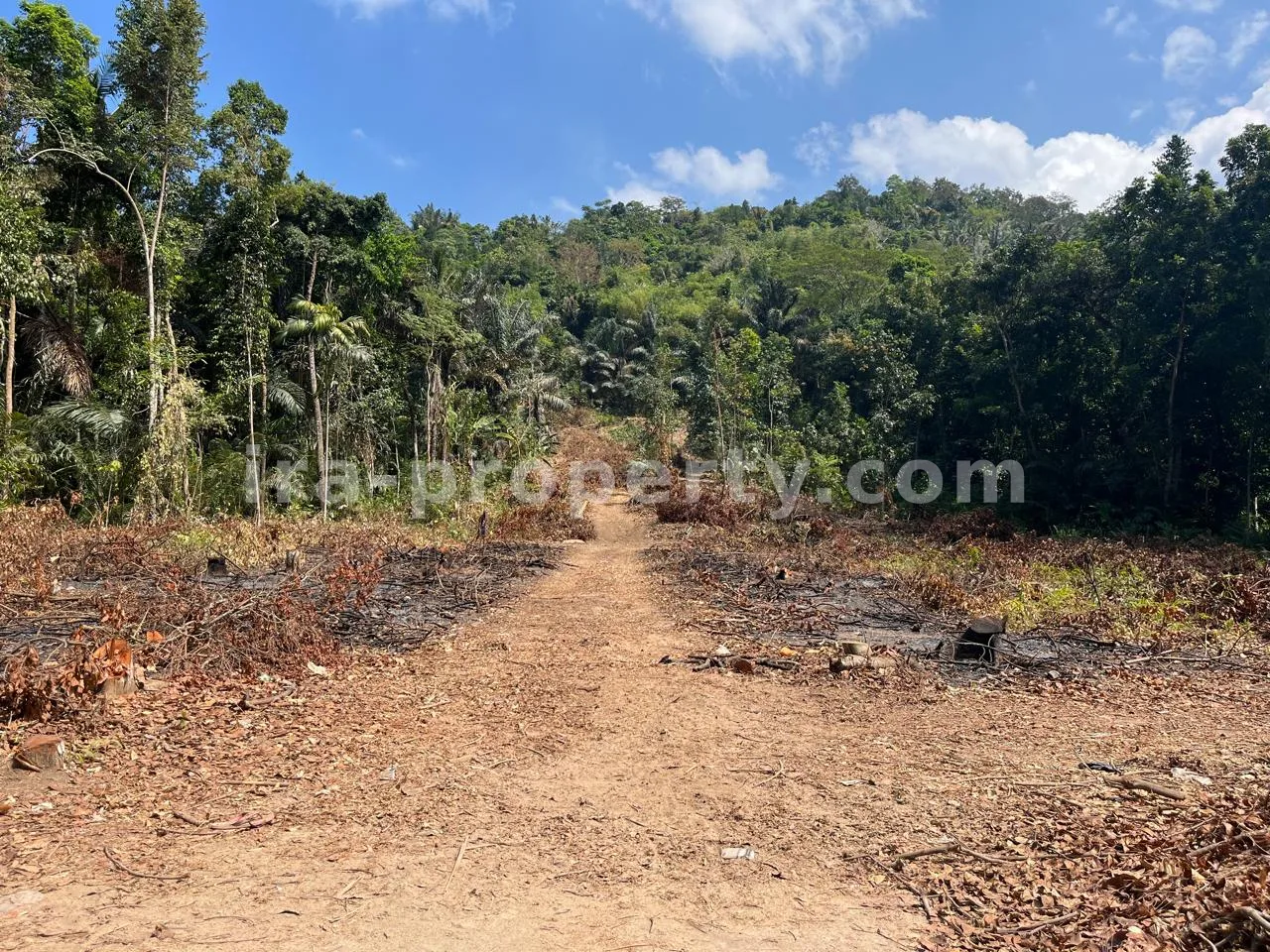 Land Plot for Sale in Kekait, Gunung Sari, West Lombok