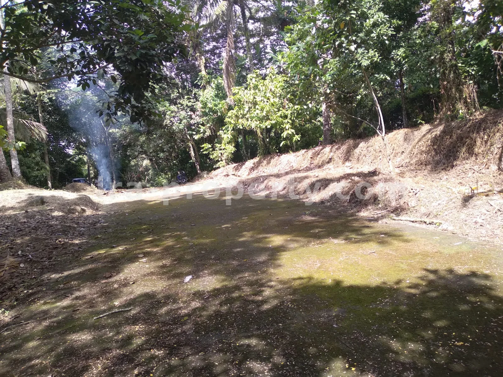 Garden Estate for Sale in Narmada Near Sesaot, West Lombok