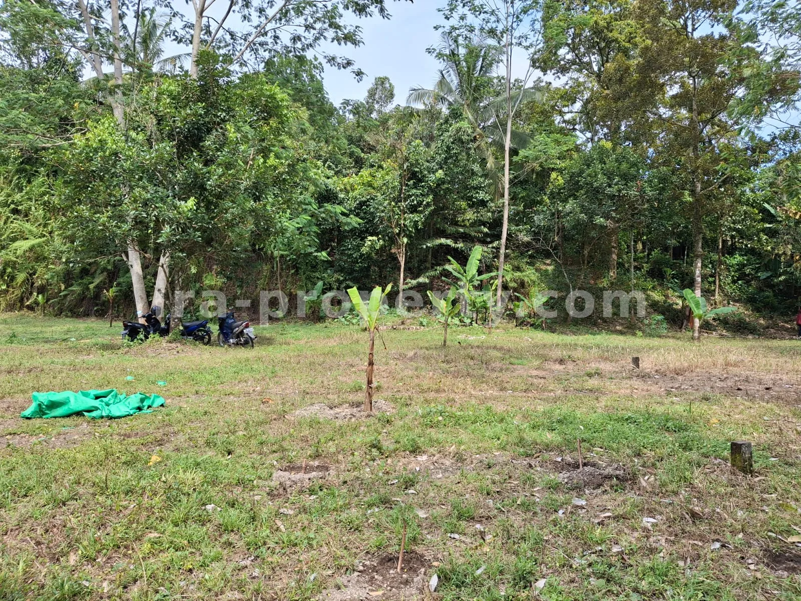 Garden Estate for Sale in Narmada Near Sesaot, West Lombok