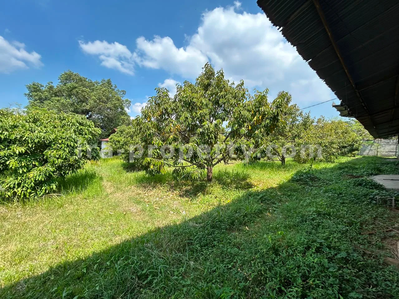Large Warehouse Complex for Sale in Lingsar, West Lombok