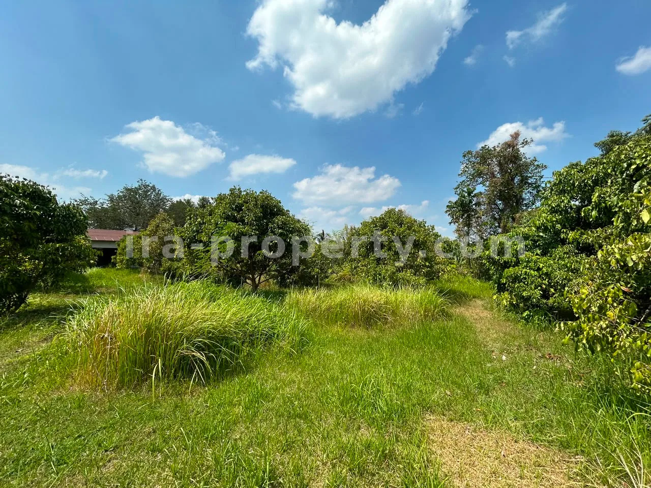 Large Warehouse Complex for Sale in Lingsar, West Lombok