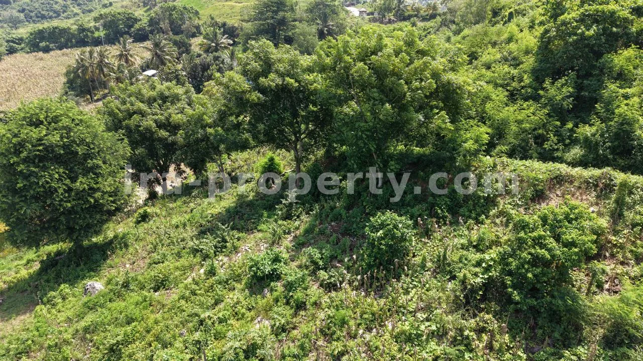 Hilltop Ocean View Land in Areguling – Near Kuta Mandalika