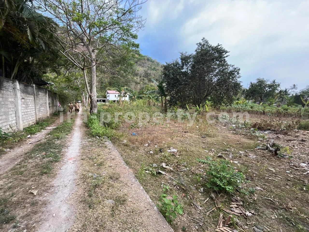 Hillside Land for Sale in Kerandangan Near Senggigi, West Lombok