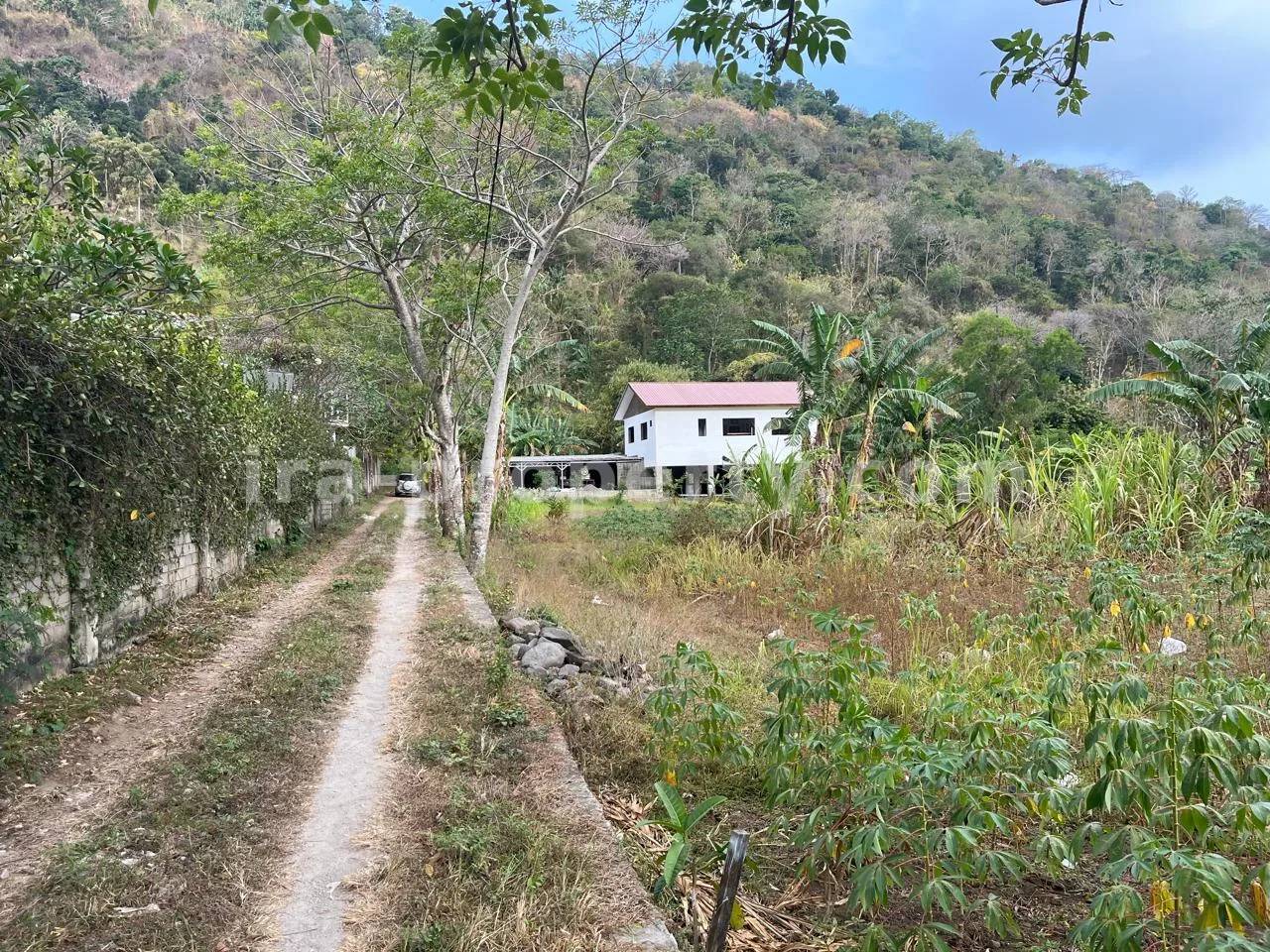 Hillside Land for Sale in Kerandangan Near Senggigi, West Lombok