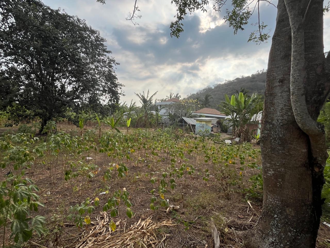 Hillside Land for Sale in Kerandangan Near Senggigi, West Lombok