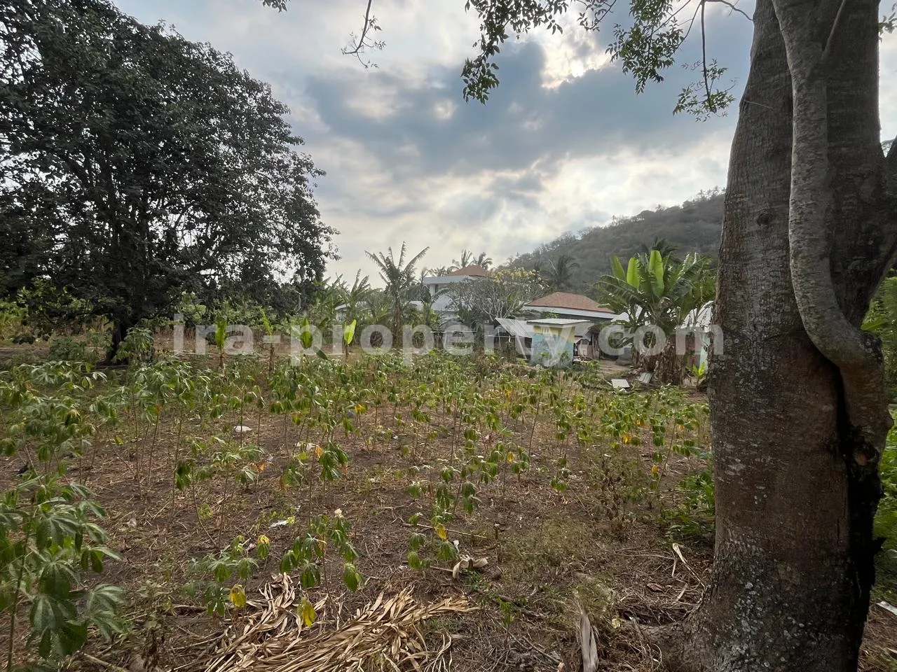 Hillside Land for Sale in Kerandangan Near Senggigi, West Lombok