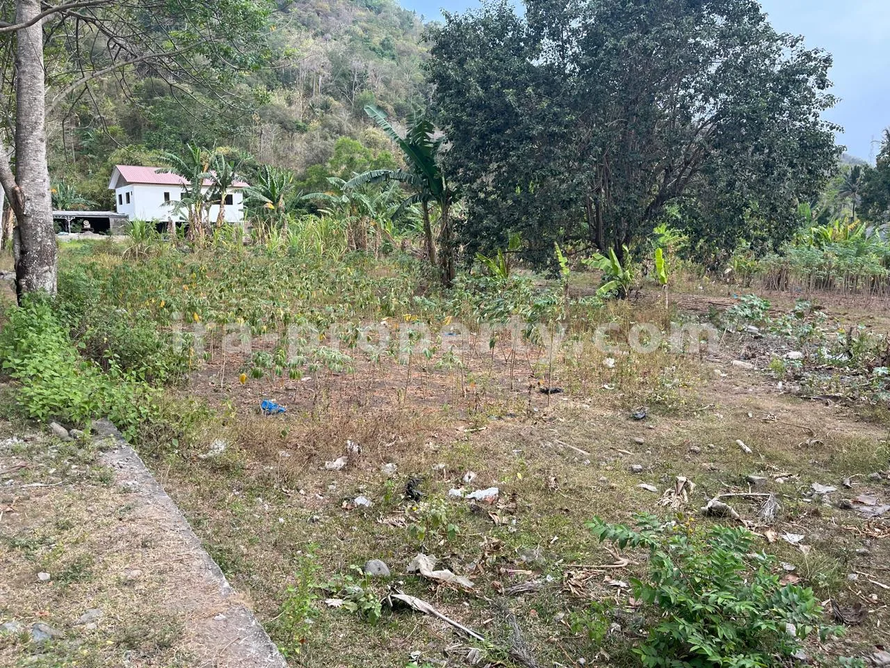 Hillside Land for Sale in Kerandangan Near Senggigi, West Lombok
