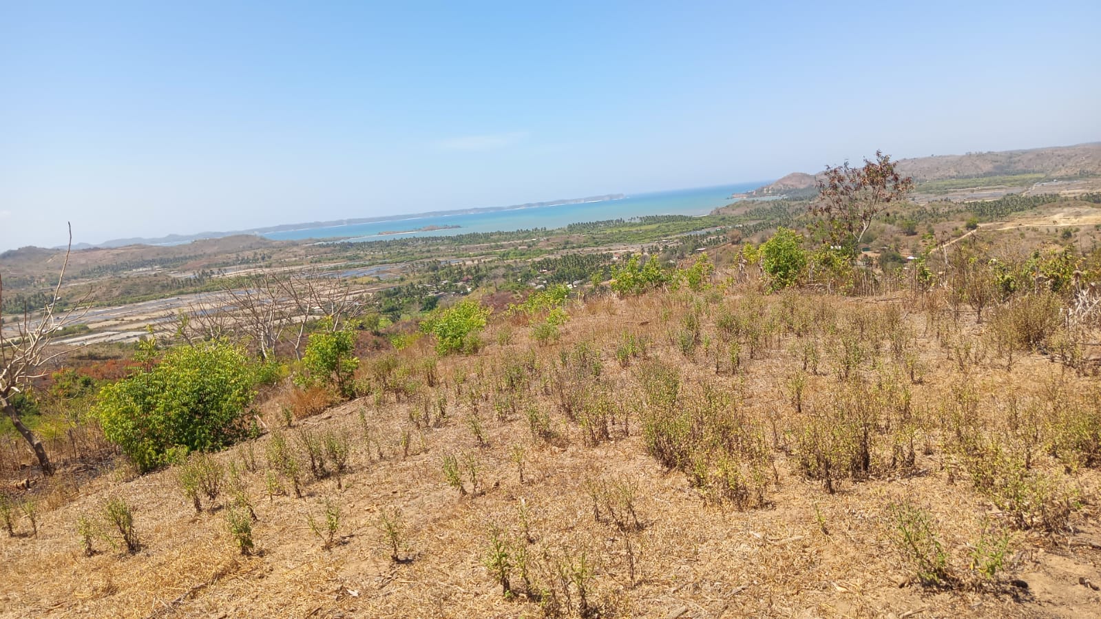 Sea View Land for Sale in Awang, Central Lombok