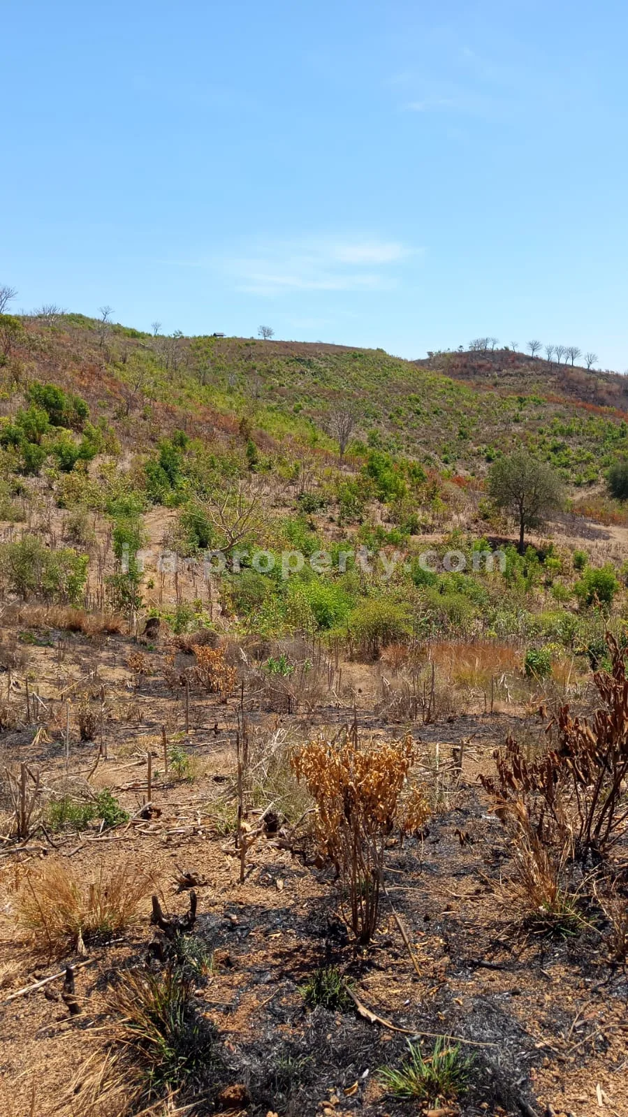 Sea View Land for Sale in Awang, Central Lombok