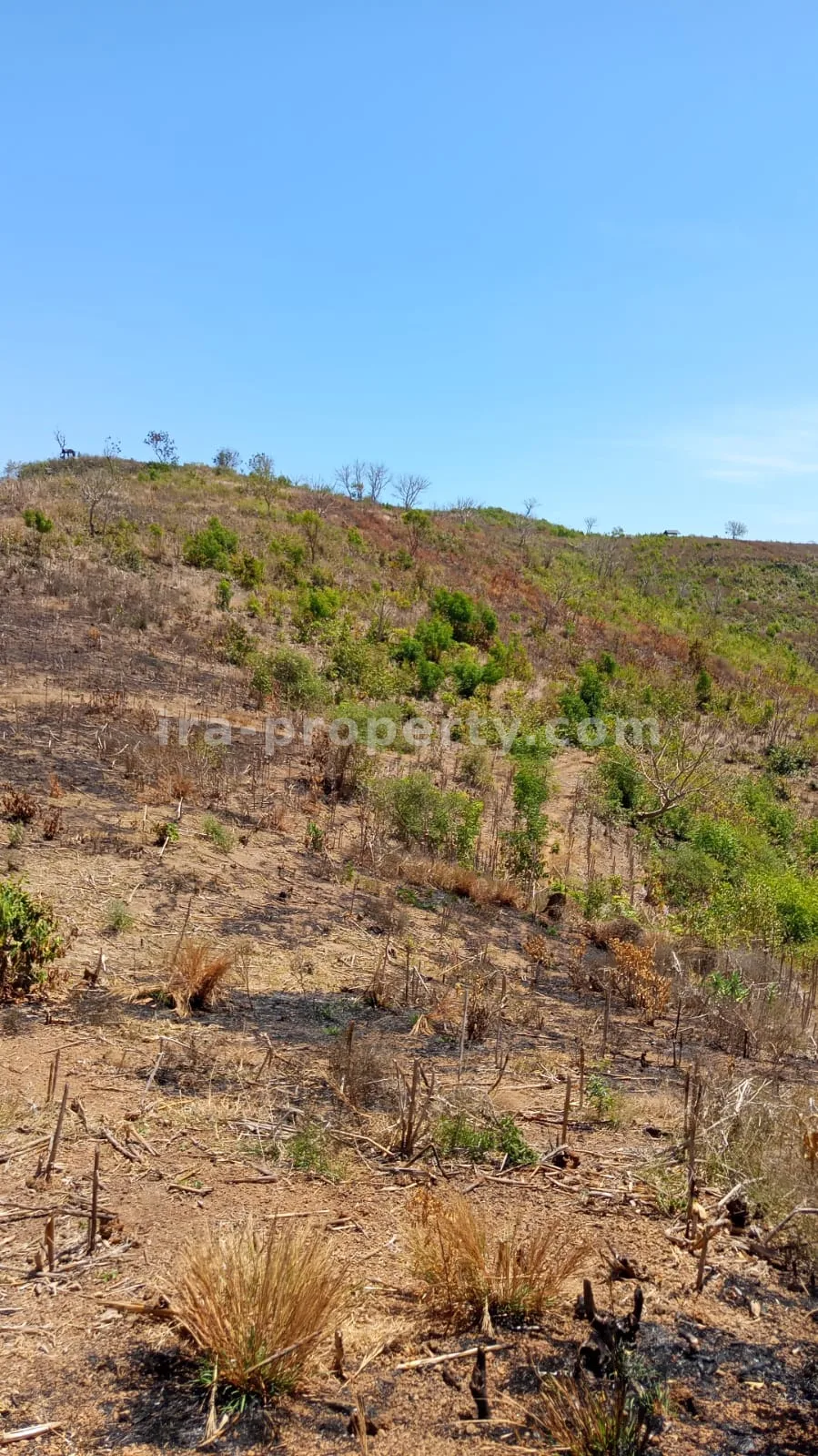 Sea View Land for Sale in Awang, Central Lombok