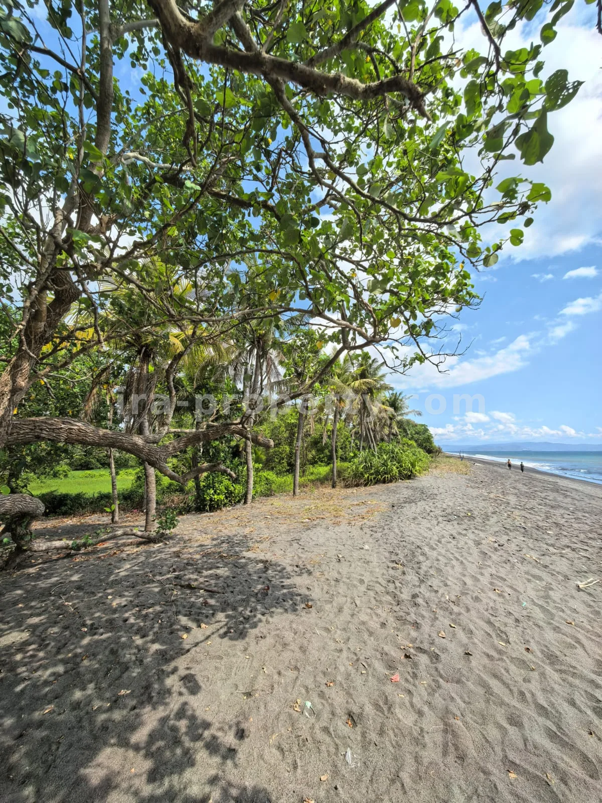 Beachfront Land for Sale in Kuranji, West Lombok