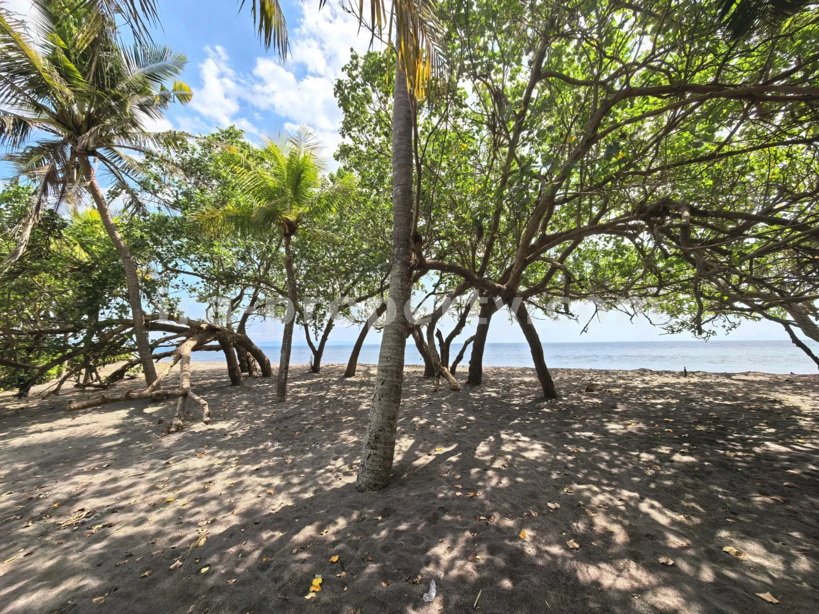 Beachfront Land for Sale in Kuranji, West Lombok