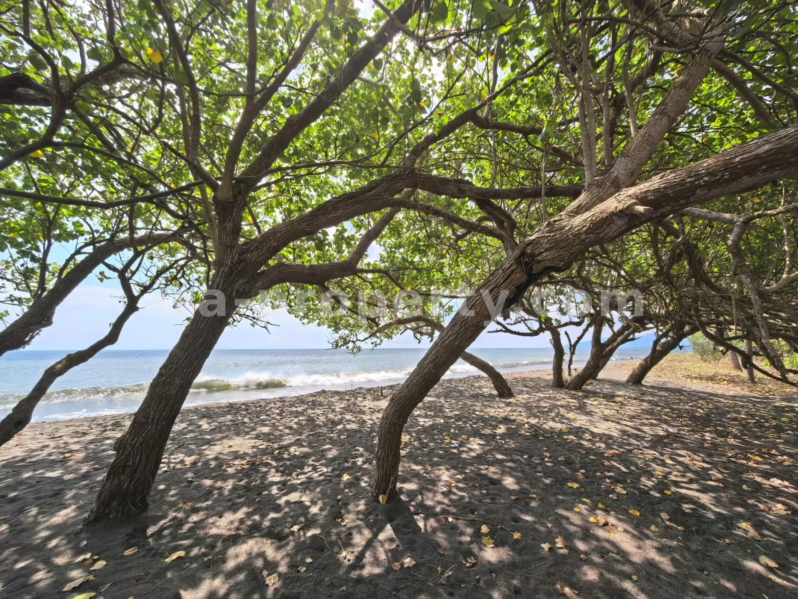 Beachfront Land for Sale in Kuranji, West Lombok