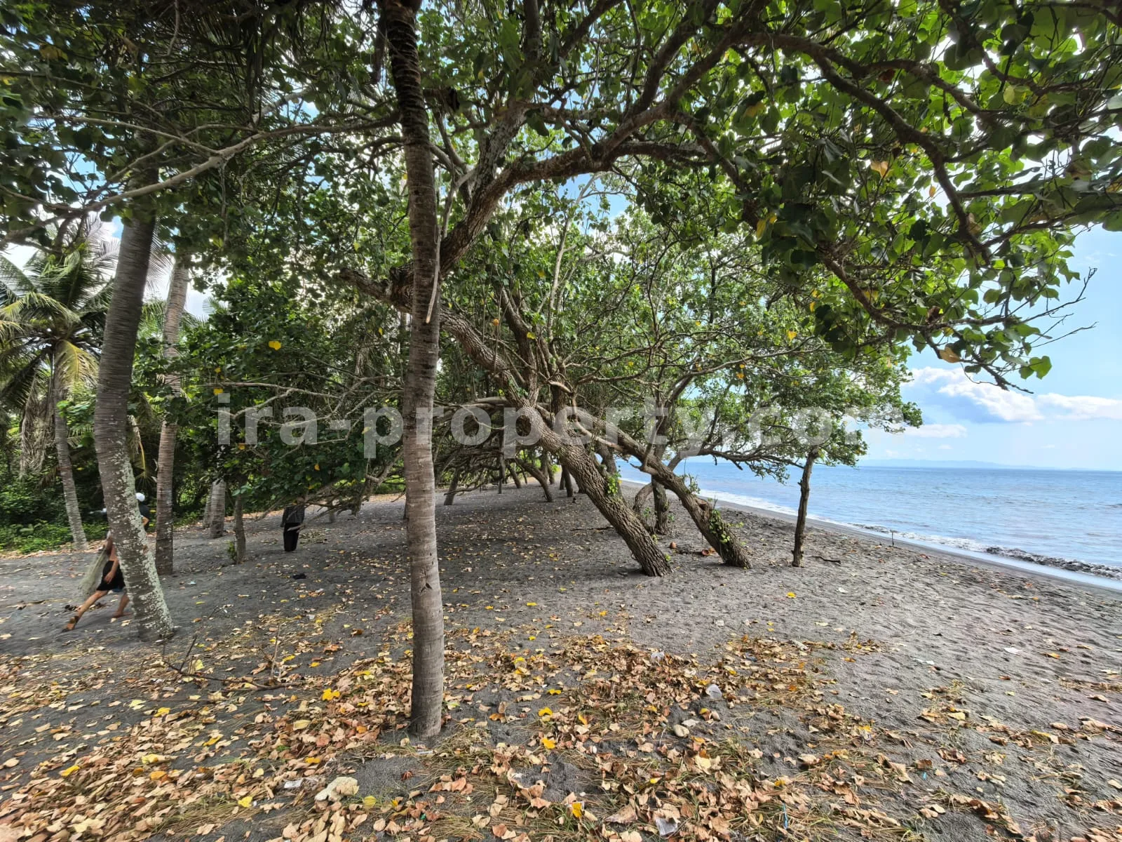 Beachfront Land for Sale in Kuranji, West Lombok