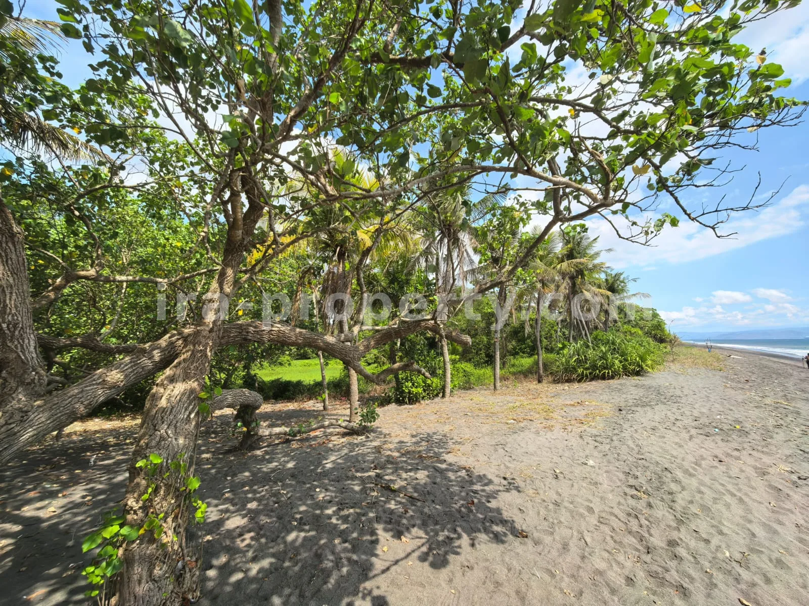 Beachfront Land for Sale in Kuranji, West Lombok
