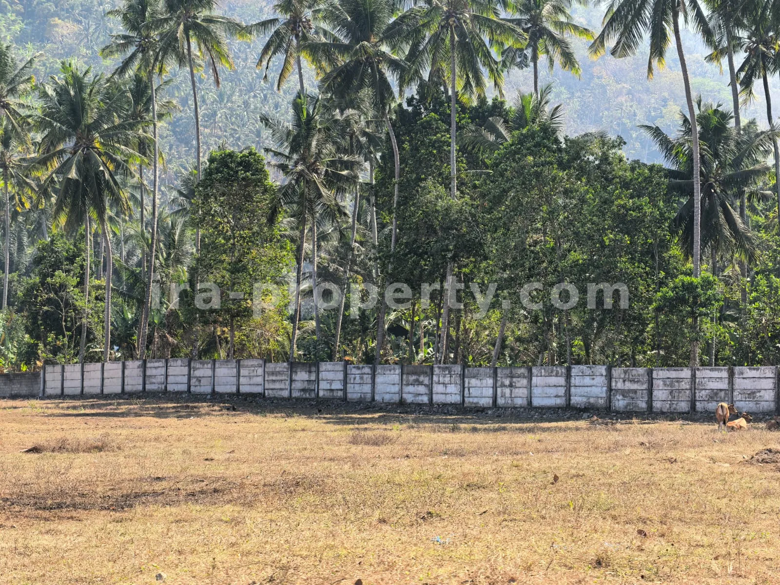 Ready-to-Build Villa Land for Sale in Senggigi, West Lombok