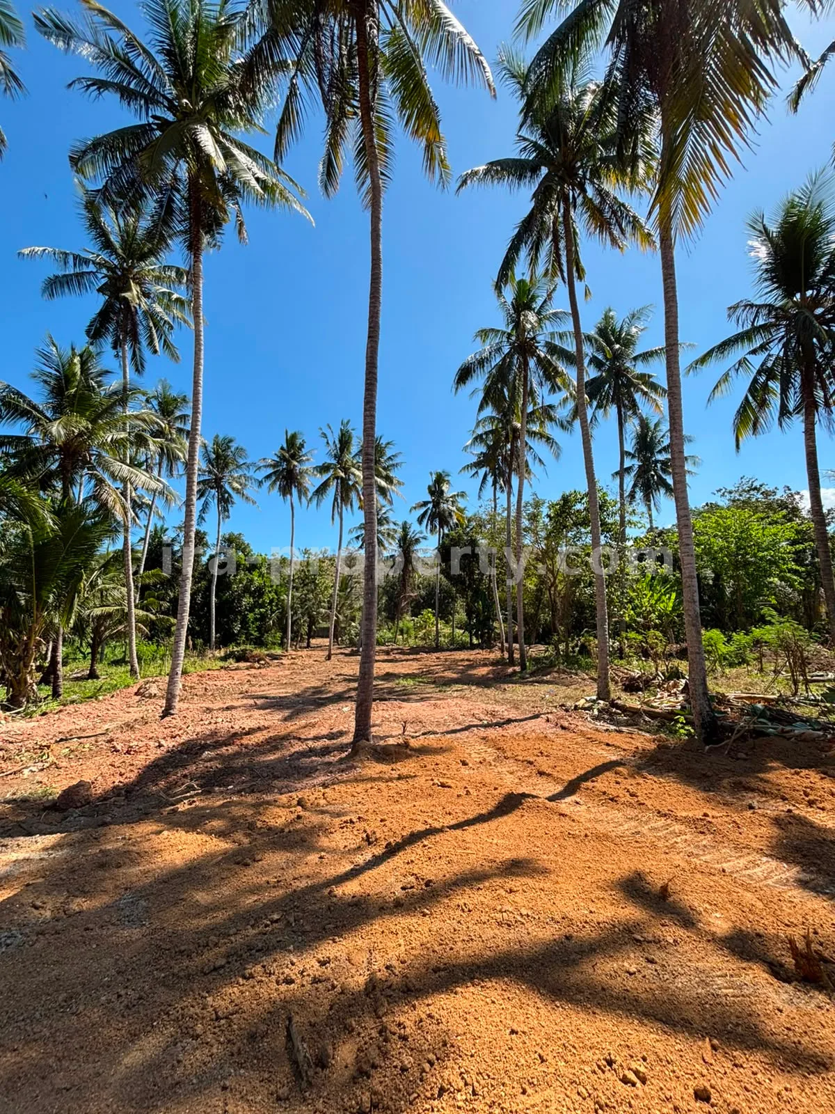 Ocean-View Land Plots in Prabu Areguling near Kuta Mandalika