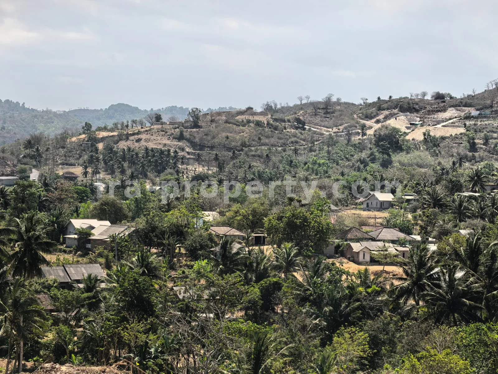 Ocean-View Land Plots in Prabu Areguling near Kuta Mandalika