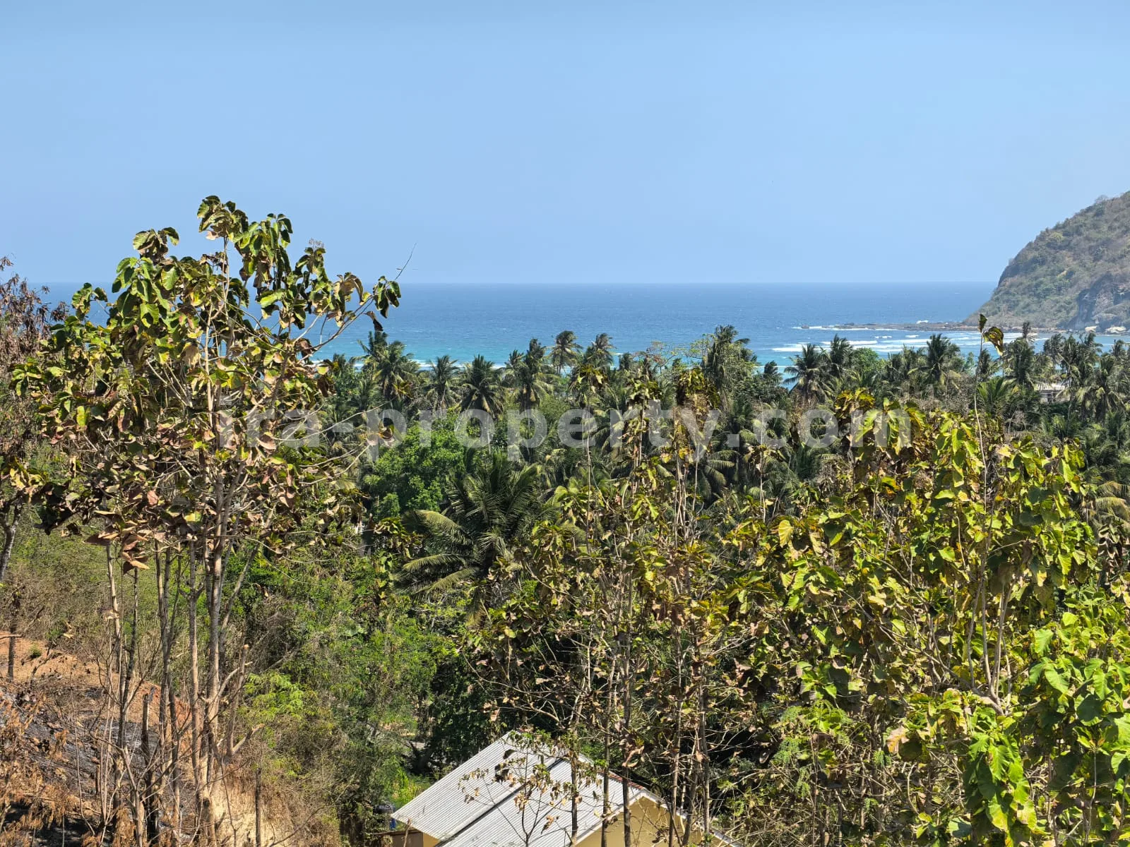 Ocean-View Land Plots in Prabu Areguling near Kuta Mandalika