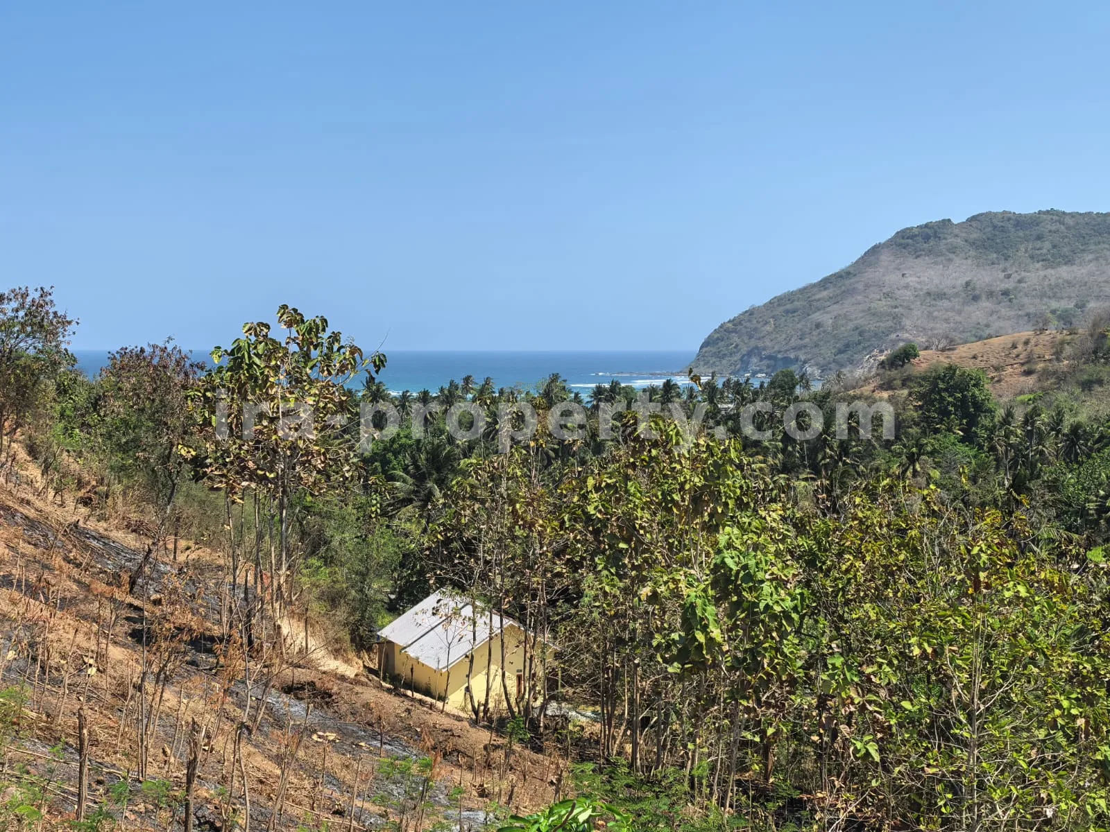 Ocean-View Land Plots in Prabu Areguling near Kuta Mandalika