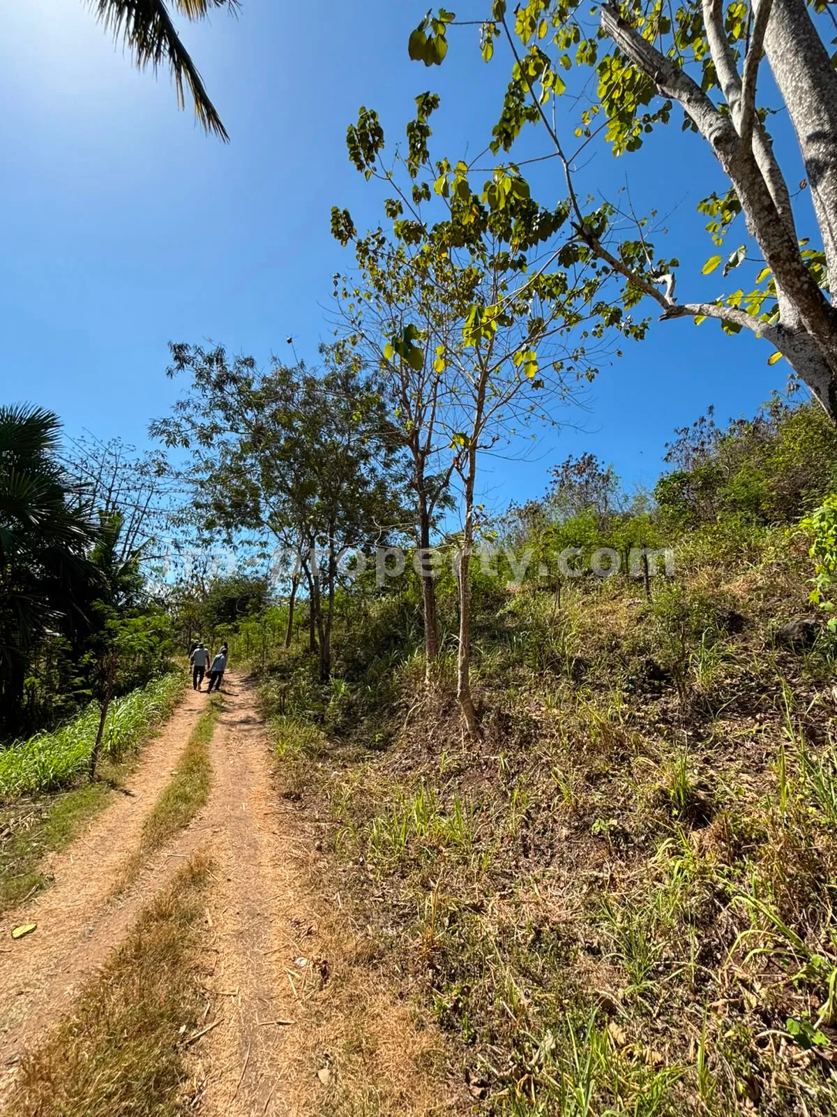 Ocean-View Land Plots in Prabu Areguling near Kuta Mandalika