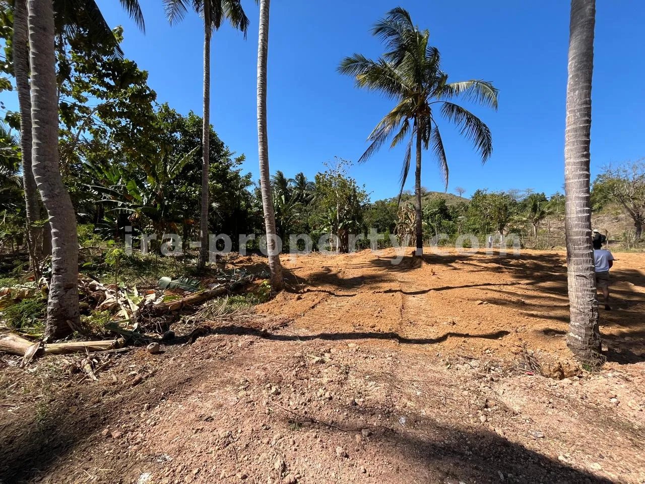 Ocean-View Land Plots in Prabu Areguling near Kuta Mandalika