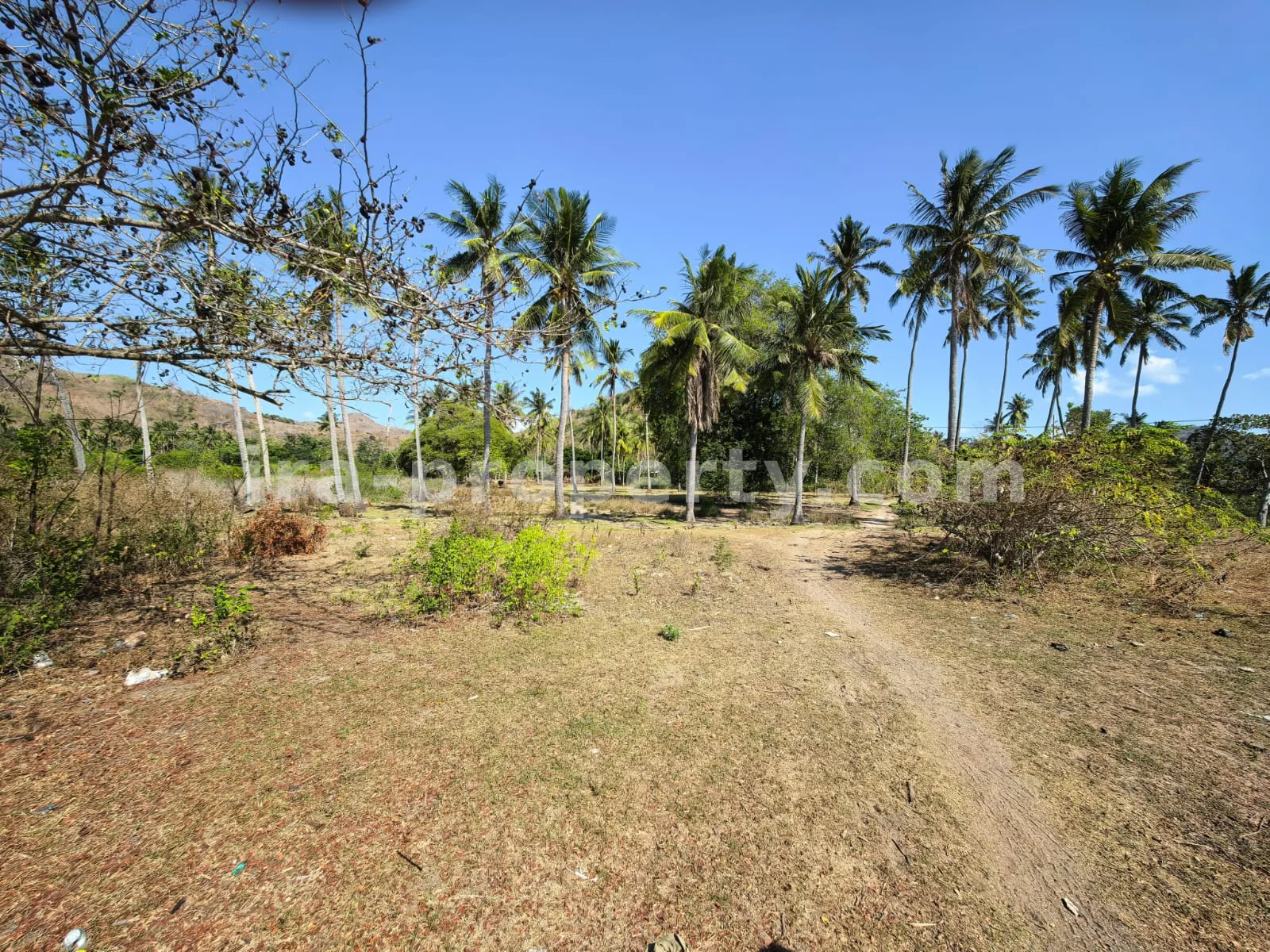 Large Beachfront Land for Sale in Sekotong, West Lombok