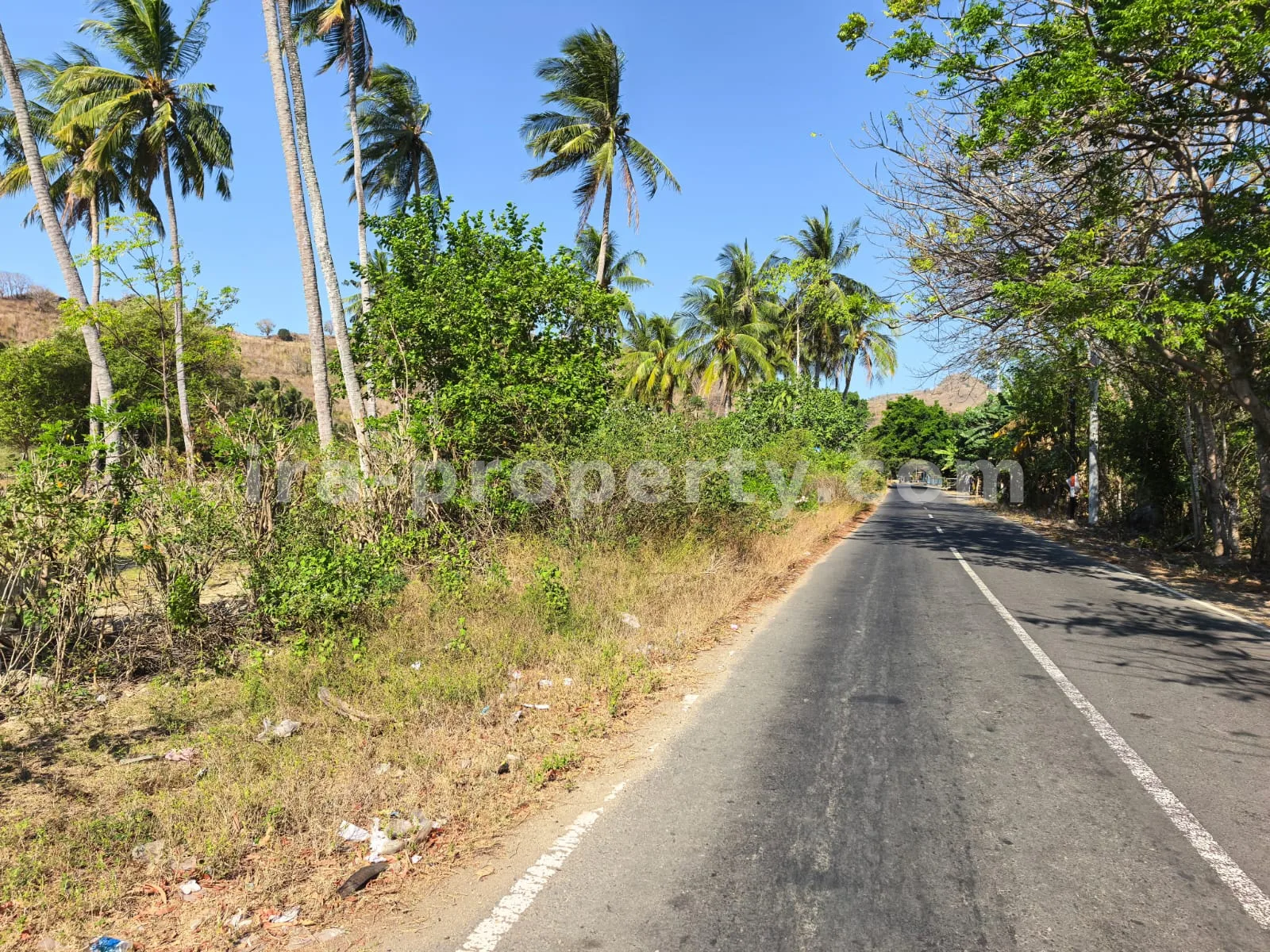 Large Beachfront Land for Sale in Sekotong, West Lombok